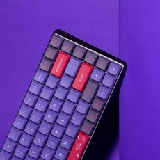 보라색키캡 TOP01