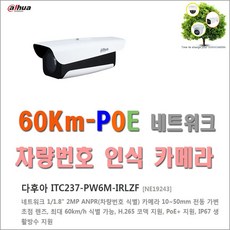 네트워크 차량 번호 인식 카메라(다후아 ITC237-PW6M-IRLZF)외 추가상품, 네트워크카메라(다후아 ITC237-PW6M-IRLZF), 1개