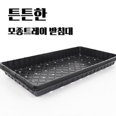 모종트레이 받침대, 물빠짐 있음, 5개