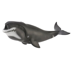 컬렉타북극고래