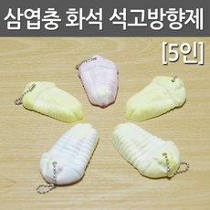 삼엽충