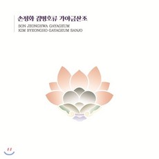 동양산조가야금