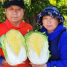 김장절임배추 강원도 고랭지절임배추 20...