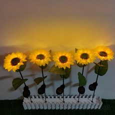 태양광해바라기