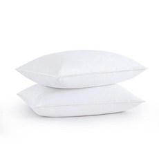 구스베개필파워