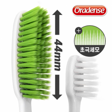 오아펭귄칫솔모