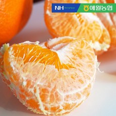 더조은 제주 레드향 4kg 12-25입, 단품