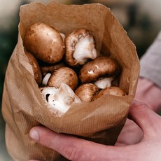 [무농약] 브라운 양송이 버섯 특품 1kg 2kg, 브라운 실속 2kg, 1개