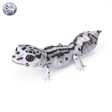 도마뱀 레오파드 개코 게코 곤충피규어, 검은 줄무늬 수궁, 길이:10cm