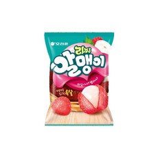 오리온 리찌알맹이 67g, 30개