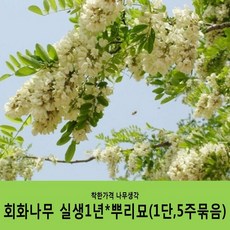 9f1e0f027ed8e39b10c8fa8214bfabc58d50a96f67b874b4fee1f5ccf08e.JPG