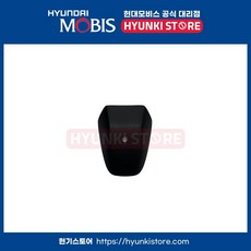 오토라이트배선