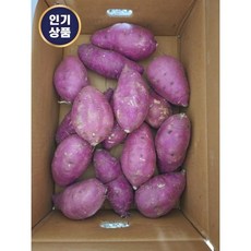 산지직송 전라남도 해남 고당도 애플구마 2kg(중) 해남애플구마 애플고구마 애플고구마2kg 에플고구마 애플고구마2키로 고구마 해남애플고구마, 2kg, 1개