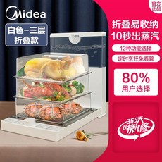 디온리전기찜기