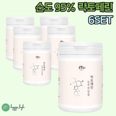 바이타믹스분해