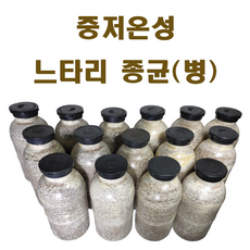 느타리버섯종균