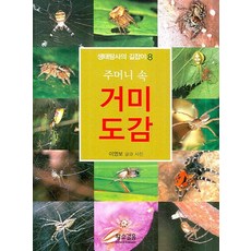 주머니 속 거미도감, 황소걸음, 이영보