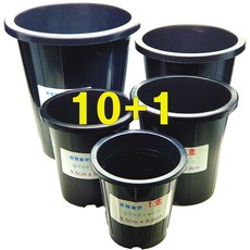 (10+1) 원형 검정 플라스틱 화분 다 모여, 원형플분3호(11cm) 1개