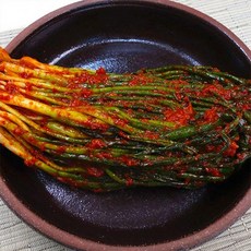 베스테청소기