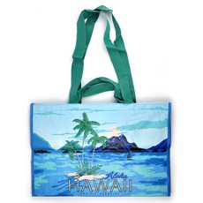 코스트코캐리어