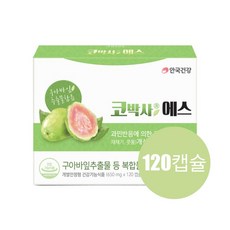내몸밸런스