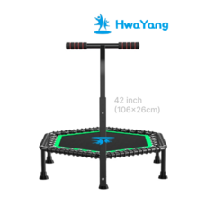  화양스포츠 1인용 대형 성인 가정용 점핑 다이어트 트램폴린 방방이 household trampoline, [TYPE B] 육각형(42inch) - 그린 