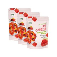 [웰팜][자연원] 바로수박화채 500g x 3팩