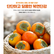 창원단감 북면단감 3kg/5kg/10kg 제철 고당도 부유단감 프리미엄감, 단감 10kg(대과 45개내외), 1개