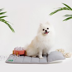 페스텝 강아지 논슬립 3D 에어매쉬 쿨매트, 베이지