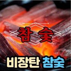 공기정화용숯나무