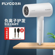 차이슨 드라이기 헤어 드라이어 항공모터 플라이코, AD
