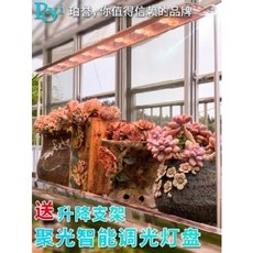 ad054ab63785f6ad250855764f475c9333548092dc4dd05773b176d4513c.jpeg