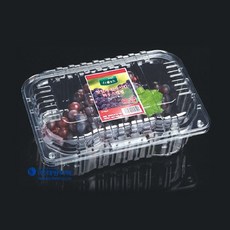 파텍7118