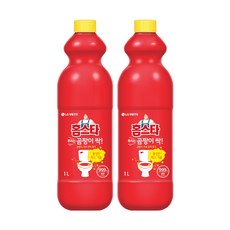 홈스타 뿌리는 곰팡이 싹 1L 리필 X 2개