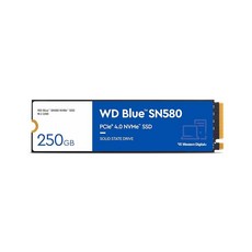 Western Digital 4TB WD Blue SN5000 NVMe 내부 솔리드 스테이트 드라이브 SSD - PCIe Gen 4.0 M.2 2280 최대 5 500MB/s, 이전 세대_250GB, 250GB