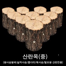 유기농 참나무 산란목, 1개