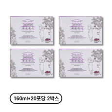 일년내내 즐거운 나의 즙 유산균 푸룬주스, 20개, 320ml