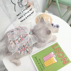 고양이무늬벽지