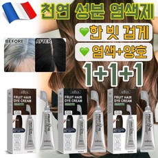 GBED 프랑스 1=2 천연 식물 성분 염색제 새치염색 H2O2없음 염색 건강무해 염색약 헤어 손상 방지 염색+양호 투인원, 3개, 검정색