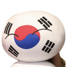 홈플러스태극기