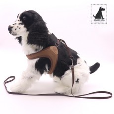 찰리스백야드하네스