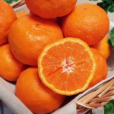 고당도 제주 카라향 1kg 3kg