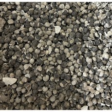 국산 토종 만형자 (순비기 씨앗) - 500 g, 1개, 500그램