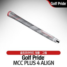 골프프라이드마이크로