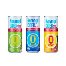 나랑드사이다 245ml CAN 2박스 3종, 2세트