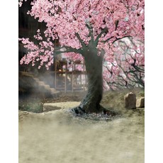 재뉴어리 글로벌 영화관 촬영 고대복장 사진 삼생 삼세십리도화 야화 화이트 봉구, 배경 14