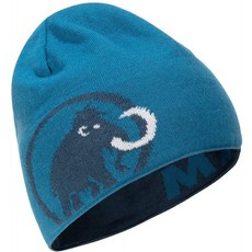 [MAMMUT] 니트 모자 (마무 토) 마무 토 로고 비니 wing teal-sapphire EU one size (FREE 사이즈)