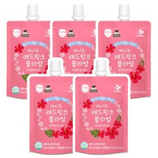 CJ 이츠웰 마시는 음료 시리즈 13가지맛 100ml x 5개, 마시는 레드핑크블라썸 100ml x 5개