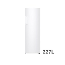 삼성전자 냉동고 227L 방문설치, 화이트, RZ22CG4000WW