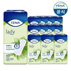 [테나]성인용 기저귀 레이디 노말 12매 12팩, 상세설명 참조